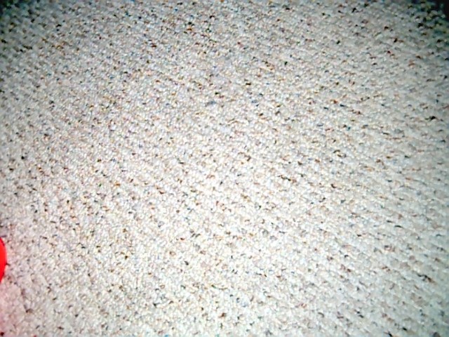 Something in the Carpet
