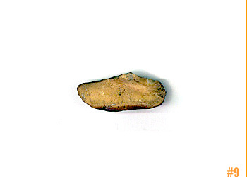 rockShoe #9 of 100