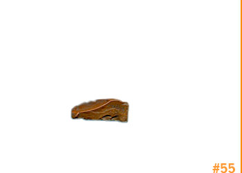 rockShoe #55 of 100