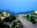Free desktop