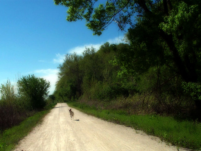 Photos from my bike ride on the Katy Trail, 2002