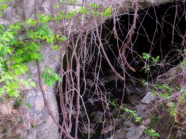 Photos from my bike ride on the Katy Trail, 2002