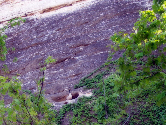 Photos from my bike ride on the Katy Trail, 2002