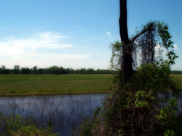 Photos from my bike ride on the Katy Trail, 2002