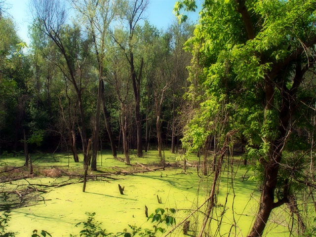 Photos from my bike ride on the Katy Trail, 2002