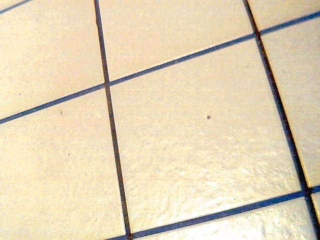 Floor Tilt #1