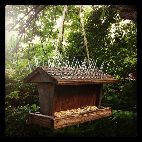 Anti-squirrel bird feeder