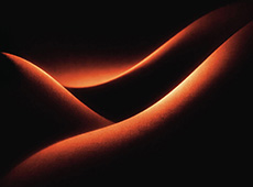 ♪ MOSSVELVET — “TANGERINE NIGHTS” LP ♪