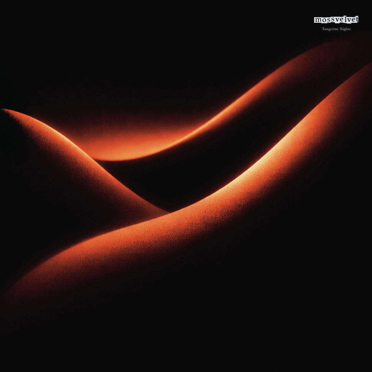 ♪ MOSSVELVET — “TANGERINE NIGHTS” LP ♪